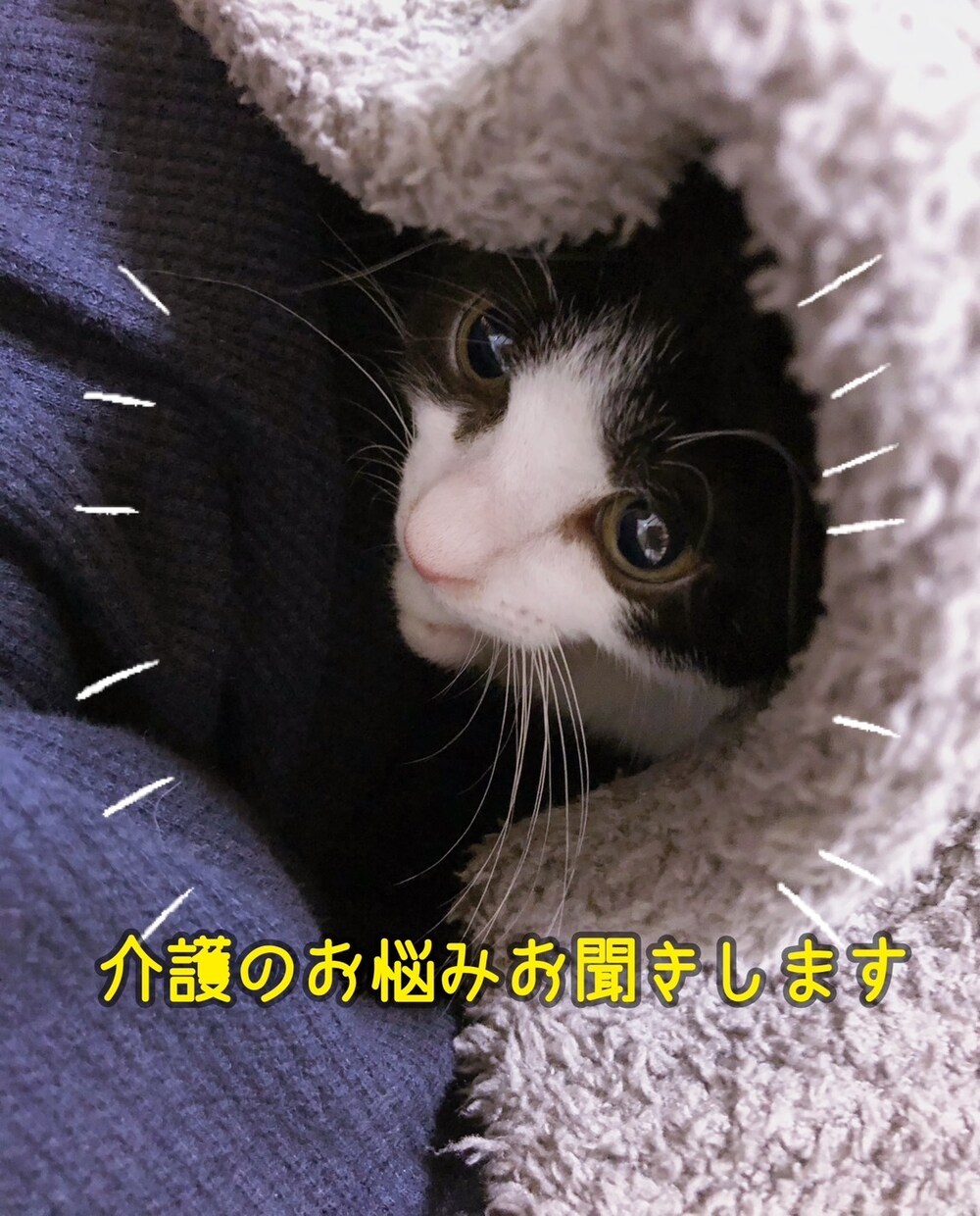 ケアマネが介護のお悩みを聞きます 在宅介護や家族介護の不安を安心してご相談ください イメージ1