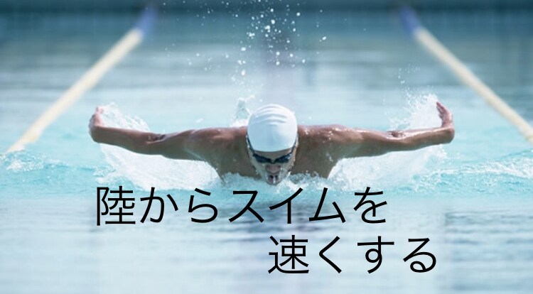 スイマーの為のドライトレーニングの提案をします フィットネ、競泳コーチの経験から、陸上トレーニングを提案する イメージ1