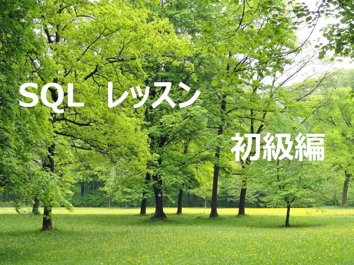 初心者向けにSQL初級編を教えます （初級編）データ抽出のノウハウを現役エンジニアが分かりやすく イメージ1