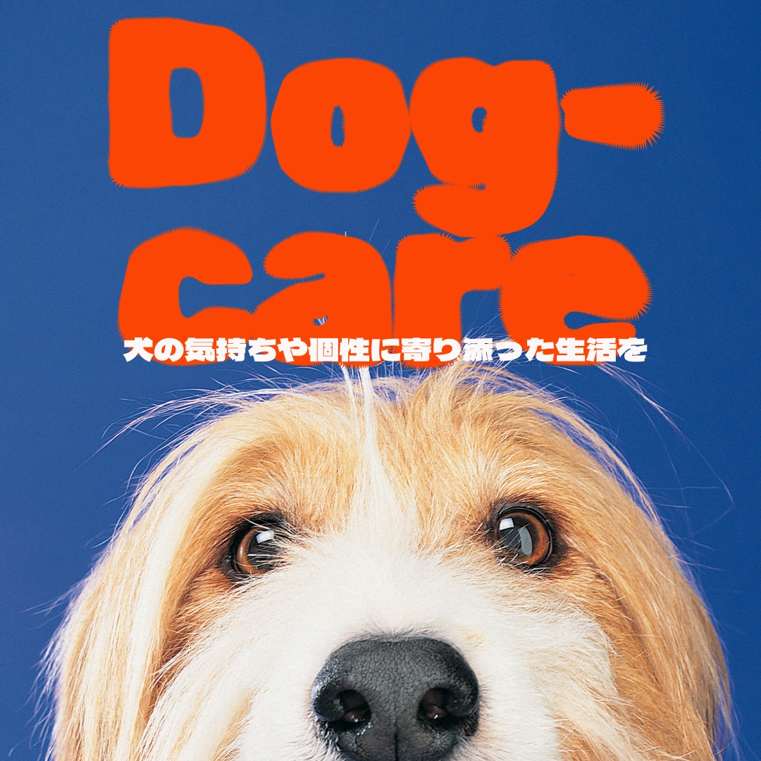 わんちゃんの個性に寄り添いご相談にのります 大切なわんちゃんの気持ち、ちゃんと伝わっていますか？ イメージ1