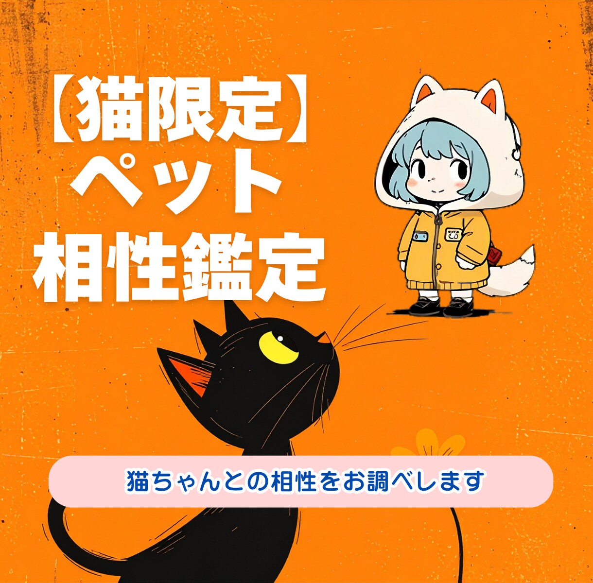 愛猫との絆が深まる｜あなたとの相性を鑑定しますます うちの子の気持ち、知りたくないですか？ イメージ1