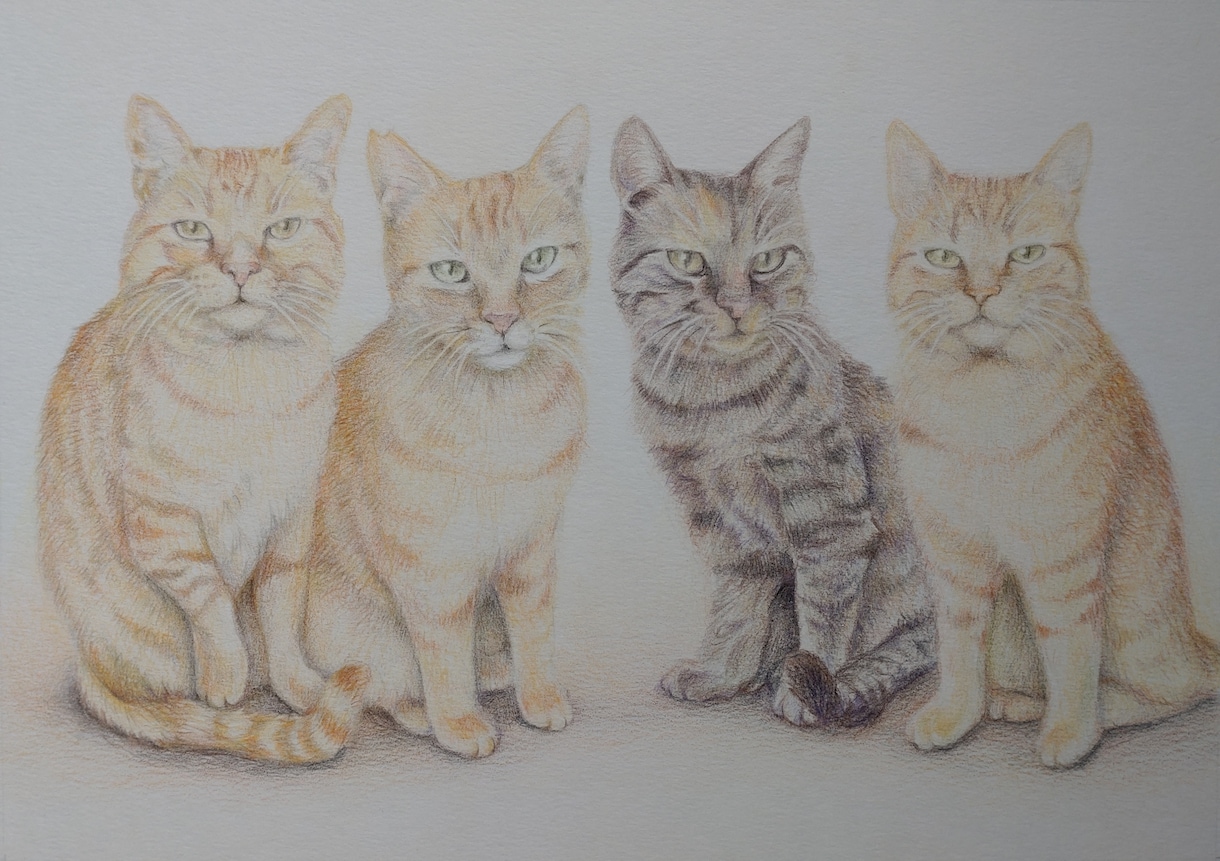 ペットの似顔絵を色鉛筆で描きます 大好きなペットとの思い出を色鉛筆画にしてみませんか？ イメージ6
