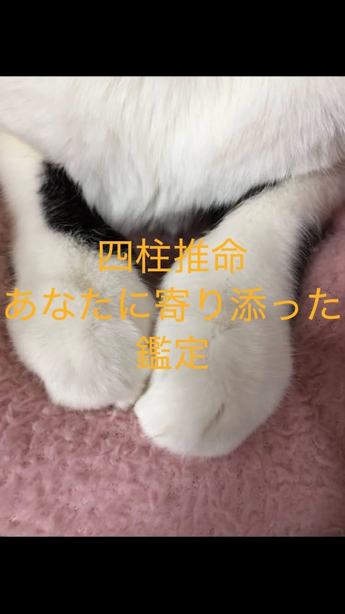 あなたの人間関係のお悩みスムーズな方向へ導きます 友人や上司、部下、家族などへの相性や接し方を鑑定します イメージ1