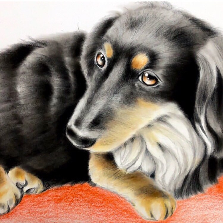 似顔絵かきます お家の大切な御家族ワンちゃんの絵を描きます イメージ1