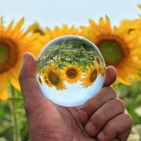カードリーディングによりあなたの未来を鑑定します ハイヤーセルフからの助言を元に素敵なメッセージ届けます イメージ4