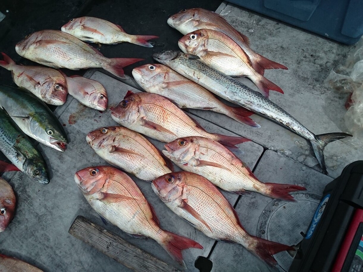 伊勢湾・御前崎・焼津での遊漁船釣り、教えます 遊漁船釣りを始めたい方をサポートします イメージ1