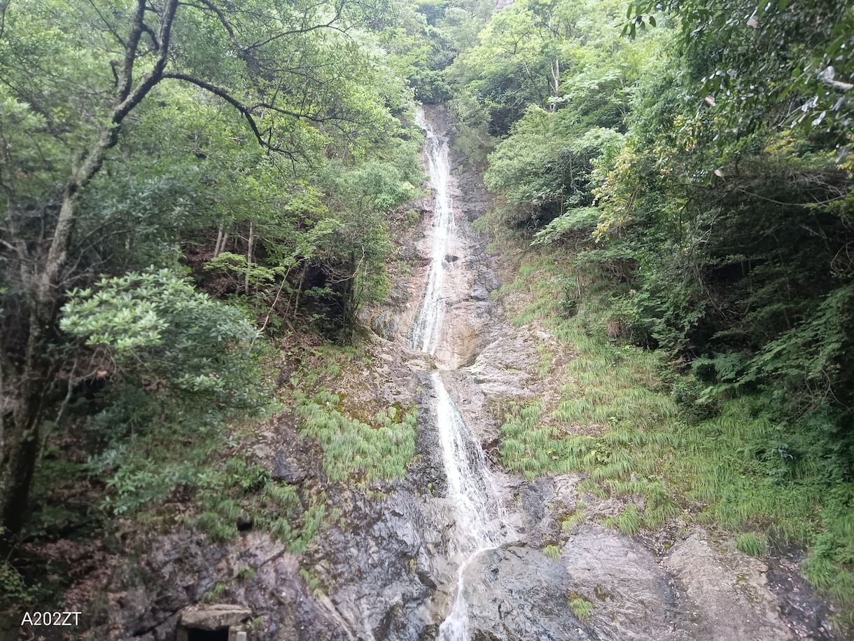あなたの魂の色から今後のアドバイスをします 霊視霊聴など多角的に視ていきます。 イメージ2