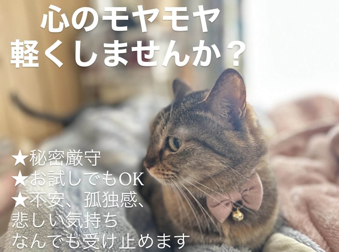 カウンセラー資格有り。なんでもお話聞きます あなたの中のモヤモヤ、上手く言えない思いも受け止めますˆˆ イメージ1