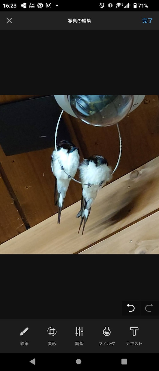 ペットちゃんのお気持ちなど鑑定をさせて頂きます 始めてペットちゃん鑑定をご依頼される方向けのメニューです イメージ2