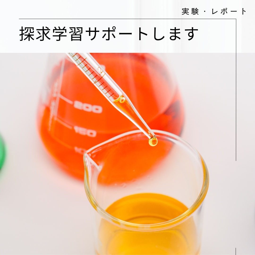 探求学習サポートします 実験教室の先生が探求学習をアドバイス イメージ1