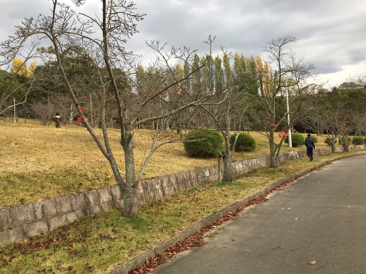 発達障害の夫と子育ての悩み伺います 子育て中の方、夫との関わり方でお悩みの方必見！！ イメージ1