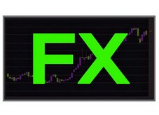兼業FXに備わるべき知識・能力とは！？を教えます FX兼業初心者にとって効率的で的を得た学習内容で教えます！ イメージ1