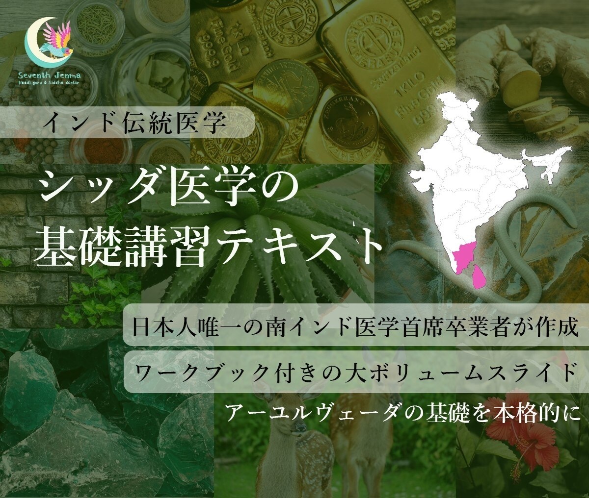 アーユルヴェーダ入門 : インド伝統医学で健康に! - 健康・医学