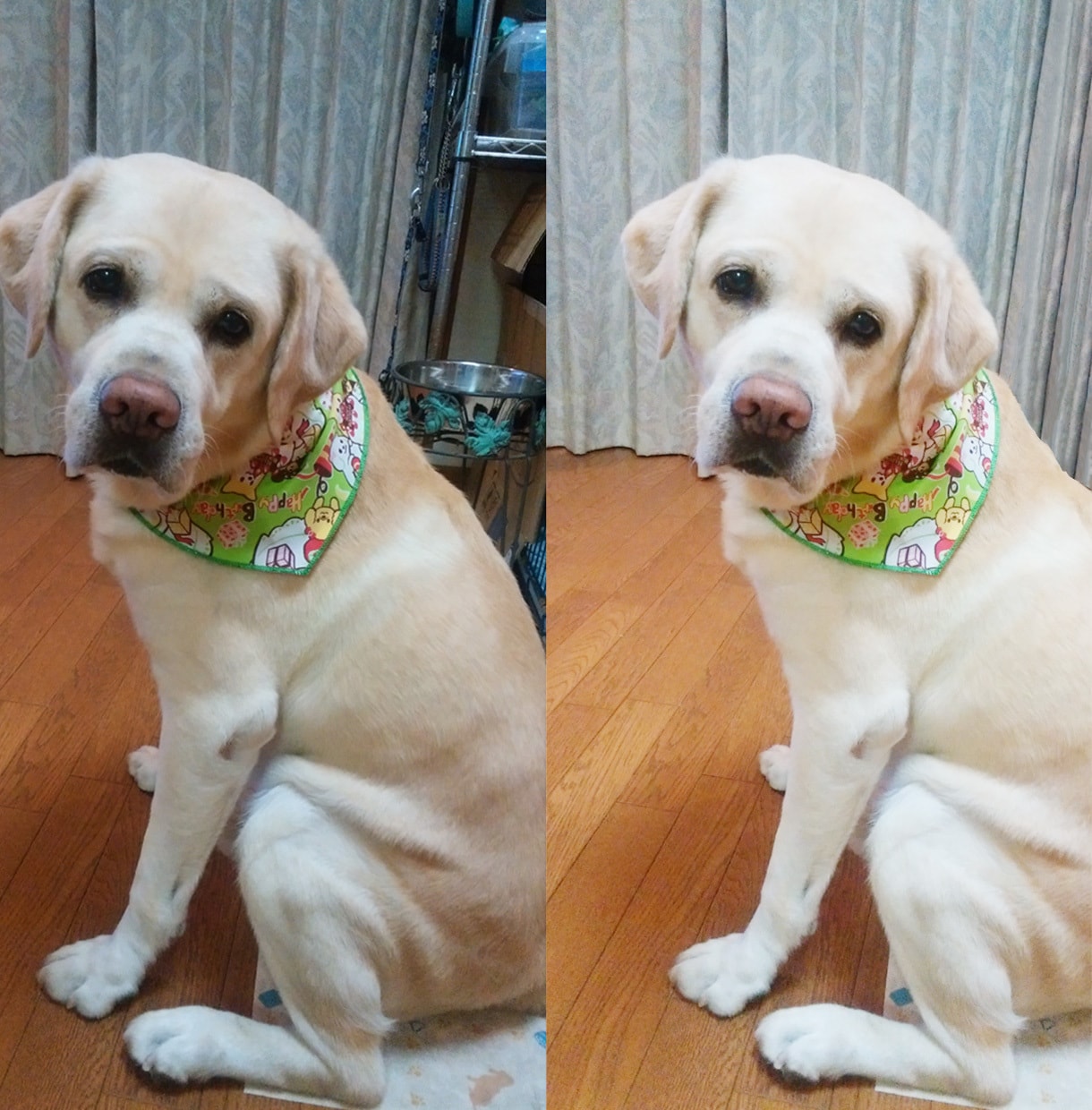 Photoshopで画像加工作成します 画像の切り抜き、画像の編集を綺麗に仕上げます。 イメージ3