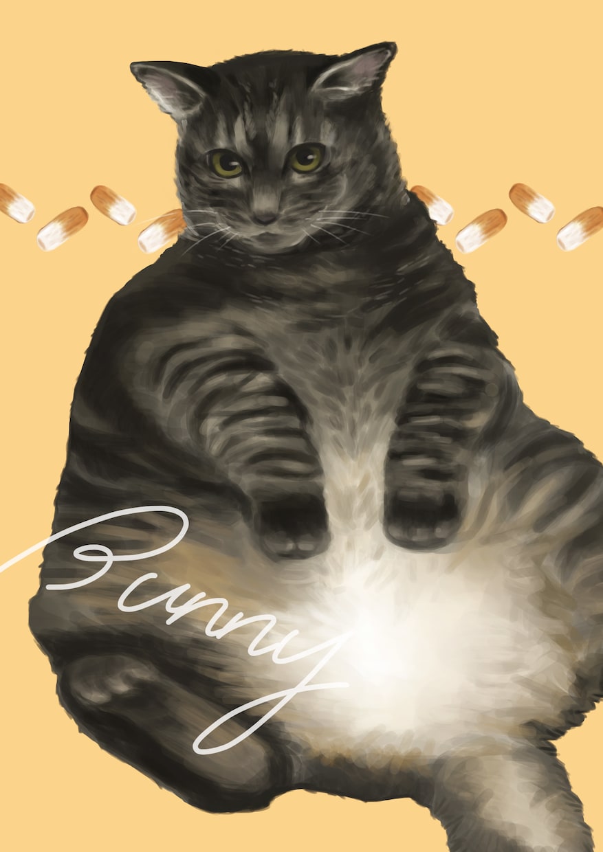デジタル手描きでペットのイラストお描きします 写真とは違った癒しを＊生粋の動物好きがお描きします イメージ4