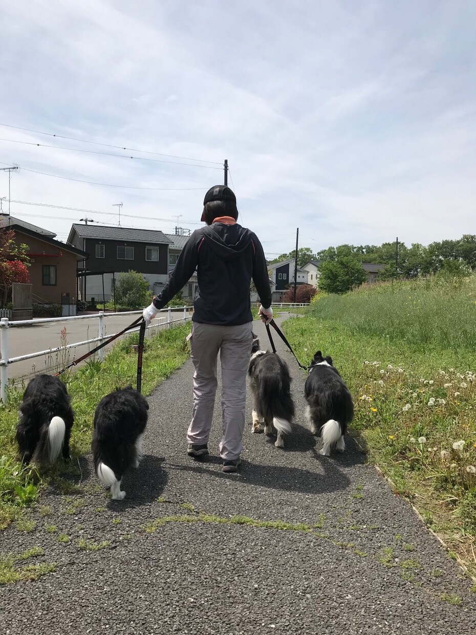 ペットとの楽しい生活のサポートを承ります ペットとの生活のお悩み相談窓口 イメージ1