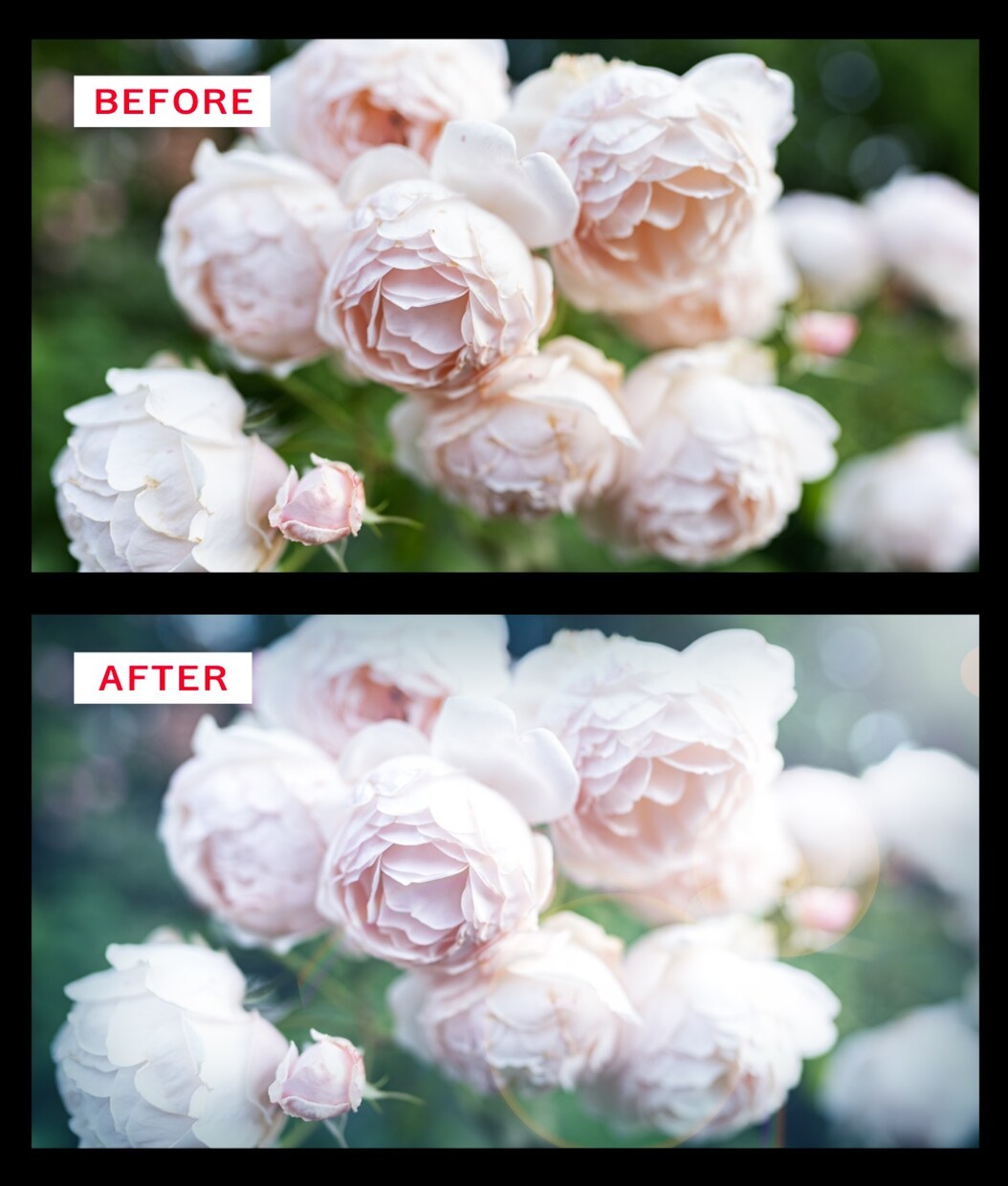 お手持ちの写真4点をフィルム風に加工します お店の販促物・SNS・動画用の写真を素敵な仕上がりに♪ イメージ2