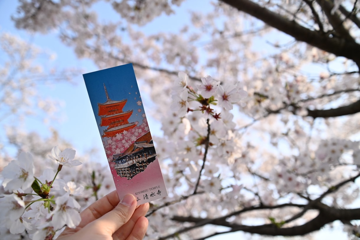 一眼レフカメラで京都の撮影を行います 企業で採用歴のあるクオリティで写真を提供致します。 イメージ2