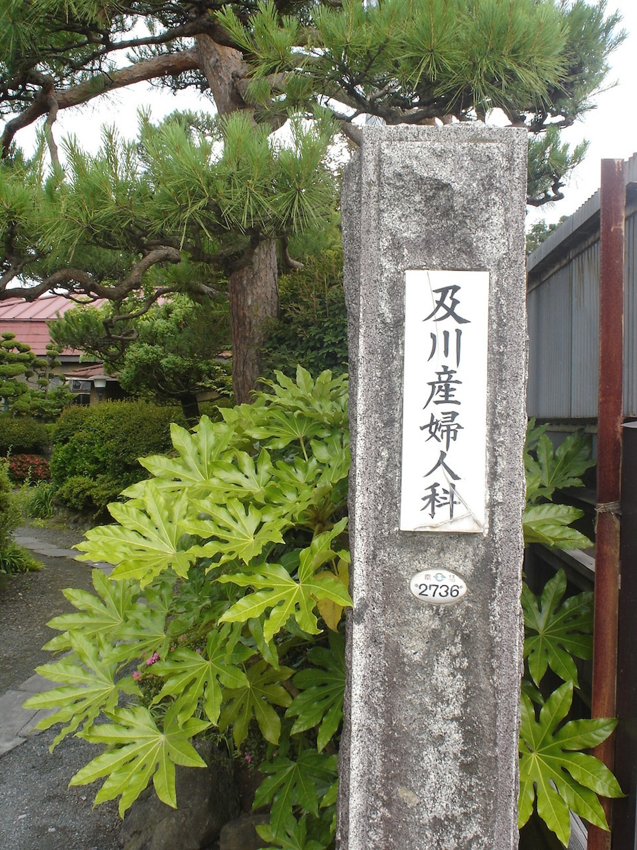 昭和レトロ　の監修・図録執筆・時代考証をします ネット（wiki）だけでは探れない、文献調査でレファレンス！ イメージ2