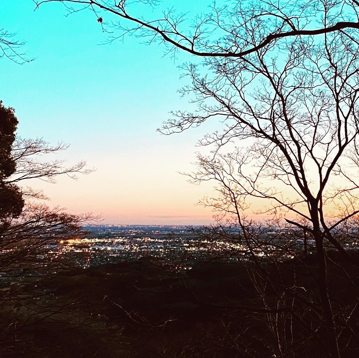 恋愛相談にのります あなたの恋愛を成就させるお手伝いをします イメージ1