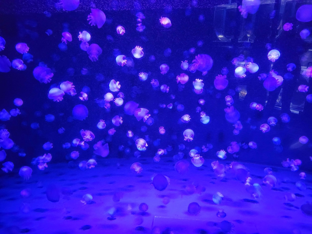 片思いの貴方へ♡気になるお相手さまの気持ち占います お相手さまの気持ち。貴方に必要なメッセージをお伝えします！ イメージ1