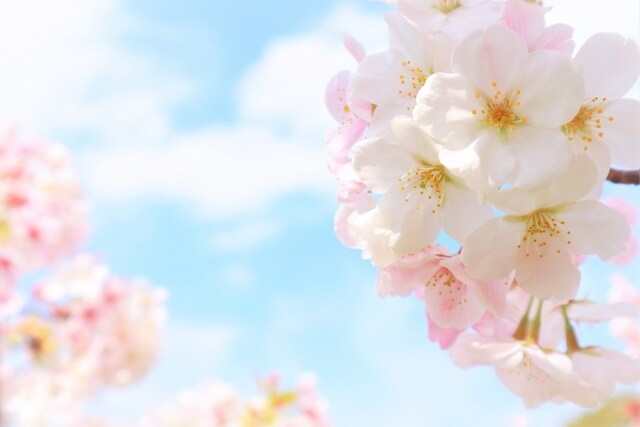 今すぐ話したい！心が晴れるまでとことん付き合います 日々のストレスで疲れたあなたの心をベテラン相談員が温めます！ イメージ7