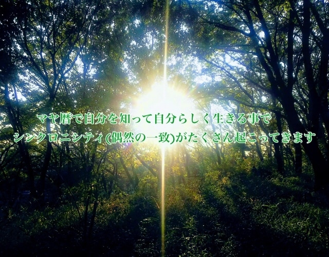 マヤ暦であなたの特性みます マヤ暦で生まれ持った自分の特性を知って楽しく生きましょう イメージ2
