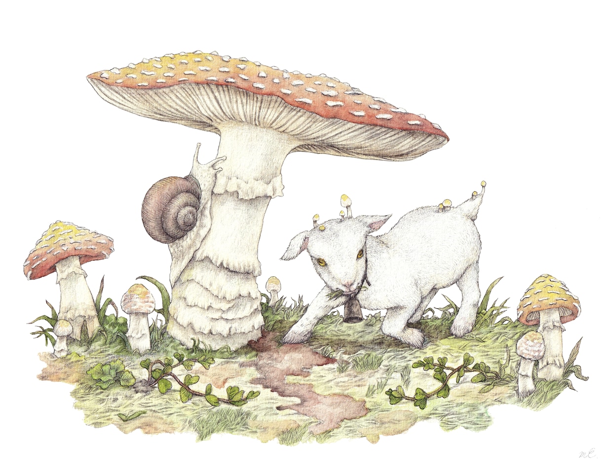 リアルな動物•人物を繊細なタッチで描きます シャーペン1本からあなたの世界を表現します イメージ1