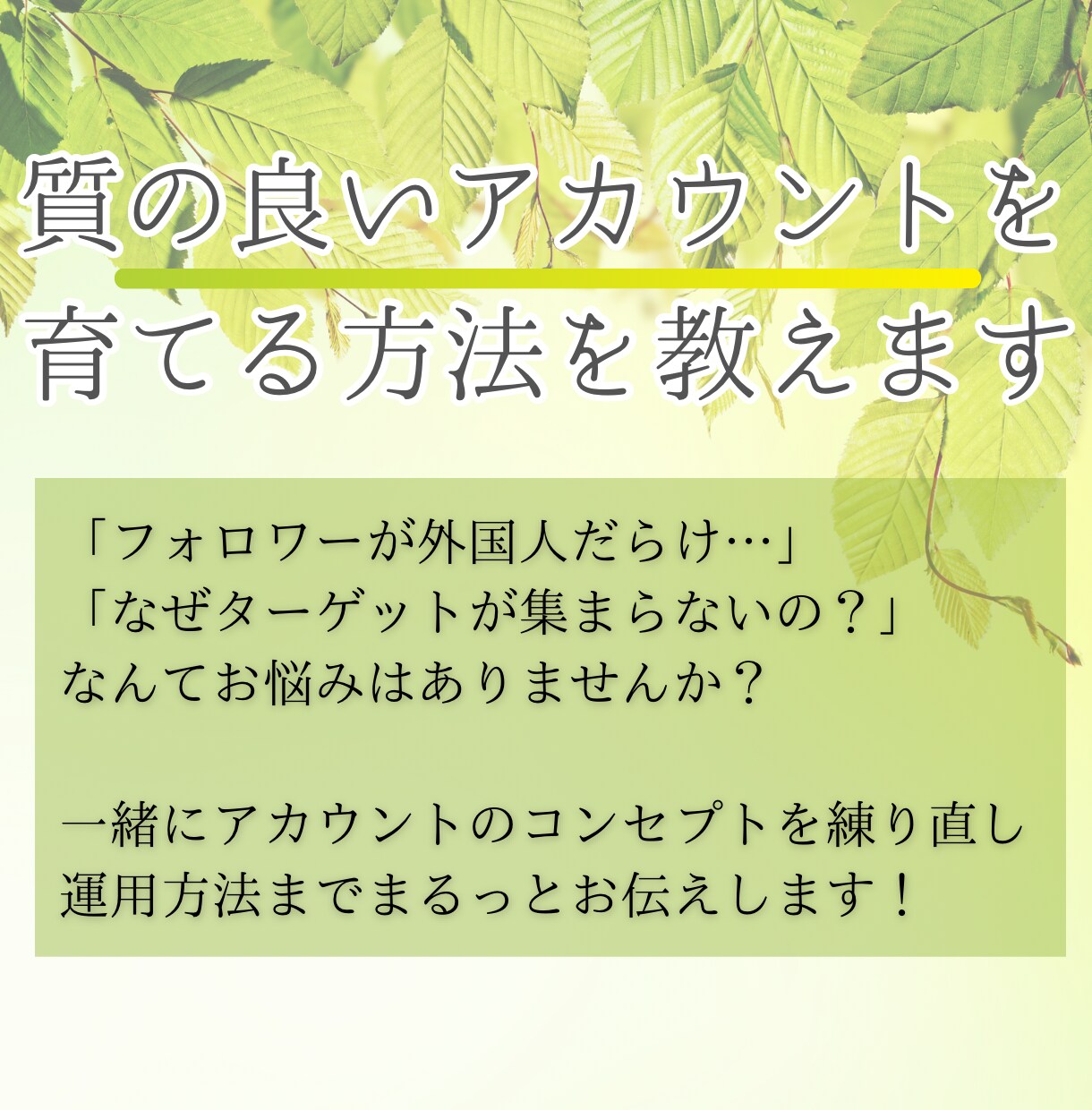 質の良いアカウントを育てる方法教えます 知らないで運用している人が9割！本当の運用方法はコレ！ イメージ1