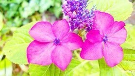 あなたの話し相手や愚痴や恋愛や心の悩みを聞きます 色々な相談を受けた経験から少しでも気持ちを楽にしてあげたい イメージ4
