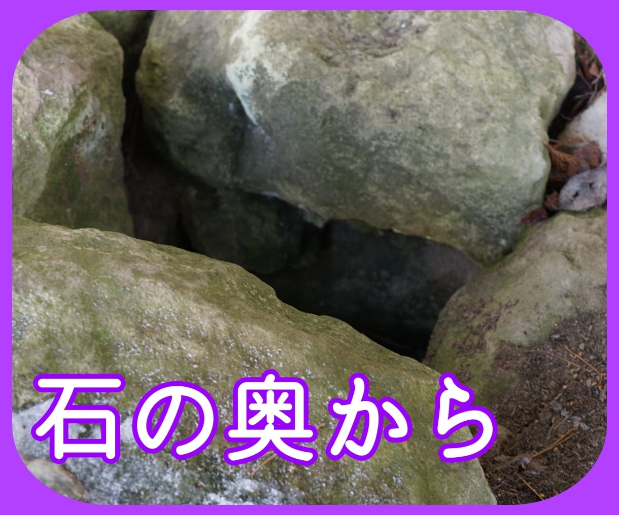お得に真心・・そして愛に震える占い、いたします ご質問はなんでも結構です。2000文字は優に超えます イメージ4