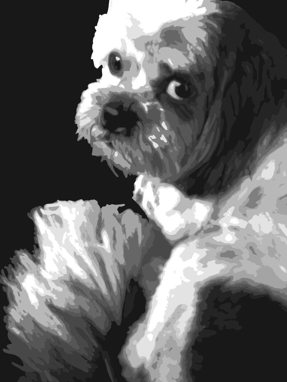 普通と違う似顔絵を描きます あなたの好きな色を一色から使って描きます。 イメージ2