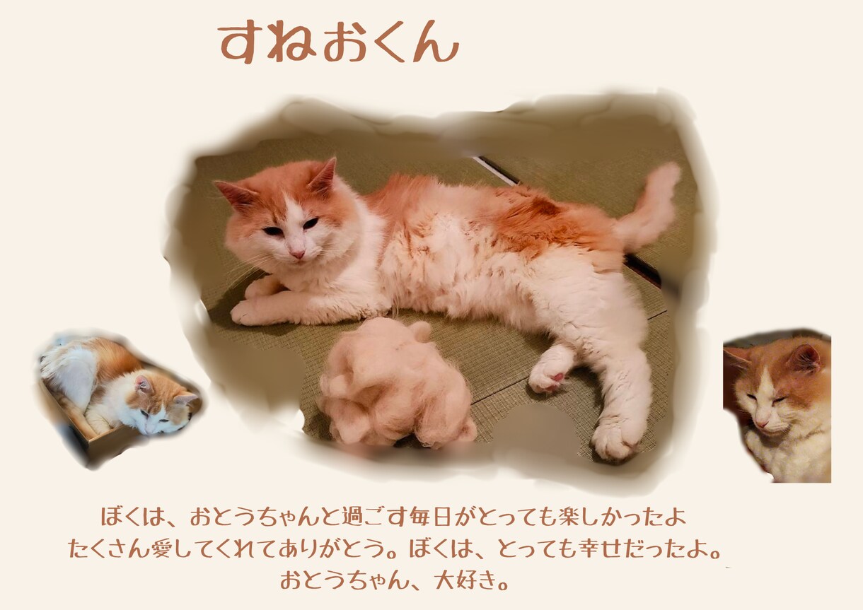 愛犬・愛猫のストーリーカードを制作します 世界にひとつだけの思い出を、一枚のカードに。 イメージ3