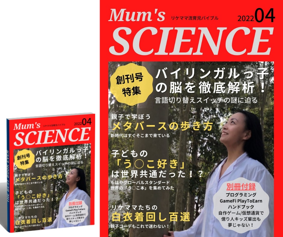 ジョークとセンスで2D/3D雑誌風表紙を作ります いいね続出！サプライズプレゼント、SNS投稿、デジタル表紙に イメージ2