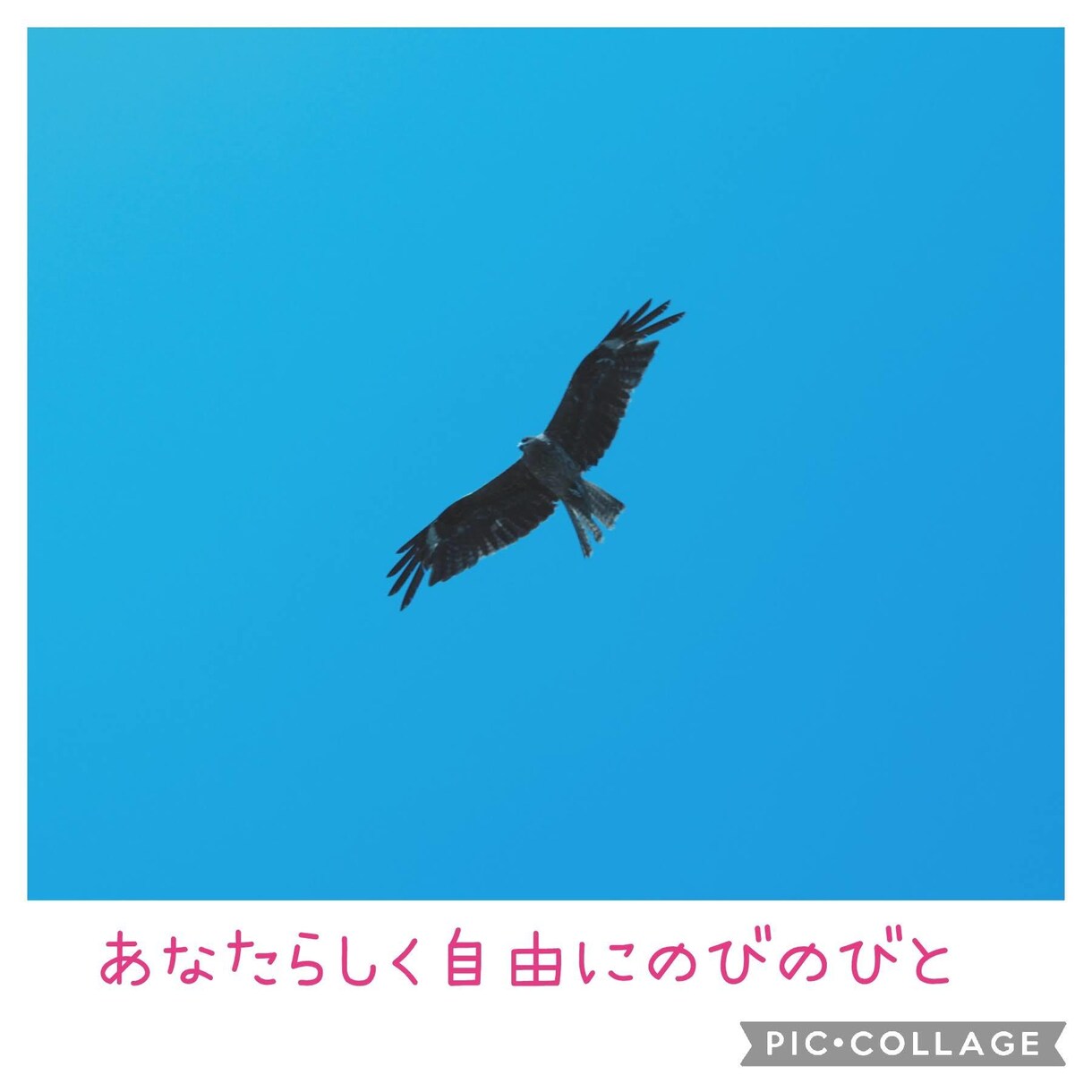 毒親育ちの方のお悩みを伺い心を癒します 自信がない。自己肯定感が低い。そんなお悩みに寄り添います イメージ8