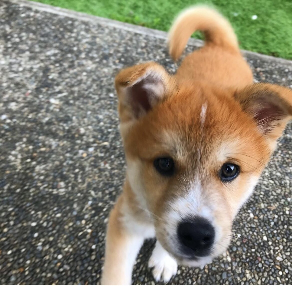 子育ての悩み、心の悩みある方相談のります 一緒にゆったり話して心を軽くしませんか？ イメージ1
