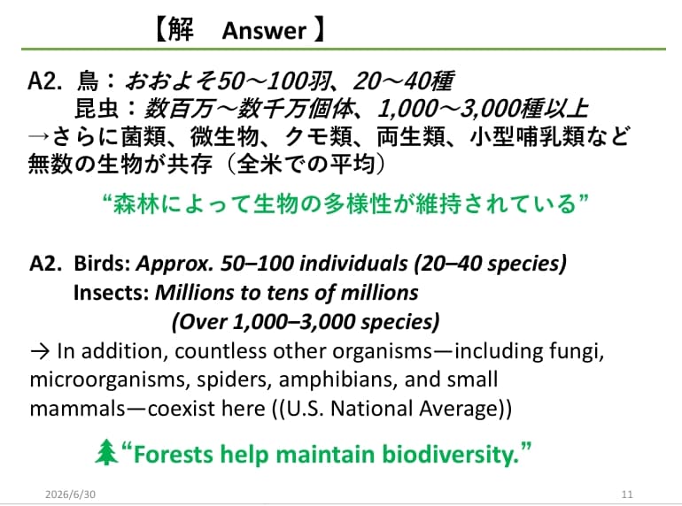 海外進出向け『英語プレゼン』の構成を請け負います 脚本構造×生物学データで世界を動かす国際プレゼンプロデュース イメージ2