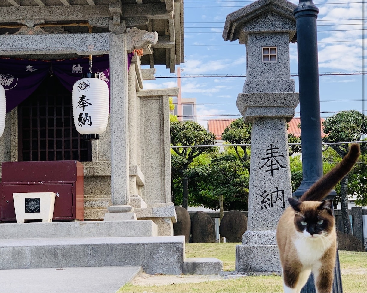 沖縄最強安産.子宝祈願.妊娠絵馬代行奉納承ります 子宝成就.授かり過ぎる驚神社＊子宝アドバイスと奉納画像付き イメージ3