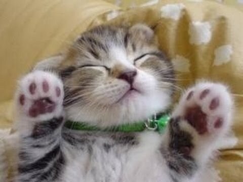 あなたの悩みを伺います 仕事や私生活でお悩みのあなた！相談のります！ イメージ1