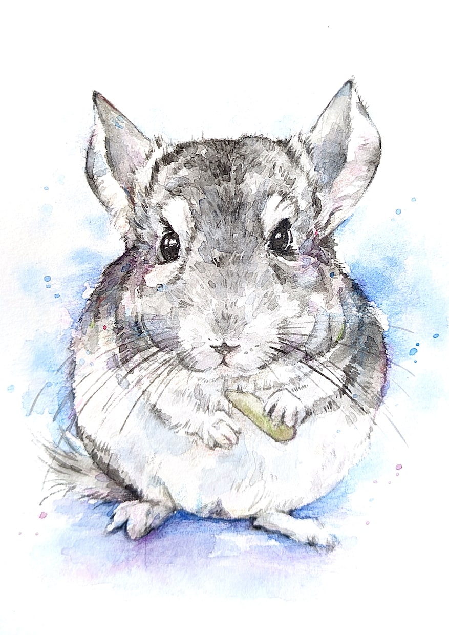 原画◆透明水彩でペット動物のイラストを手描きします 手描きの水彩画のイラスト原画を、ご自宅やプレゼント用に イメージ5
