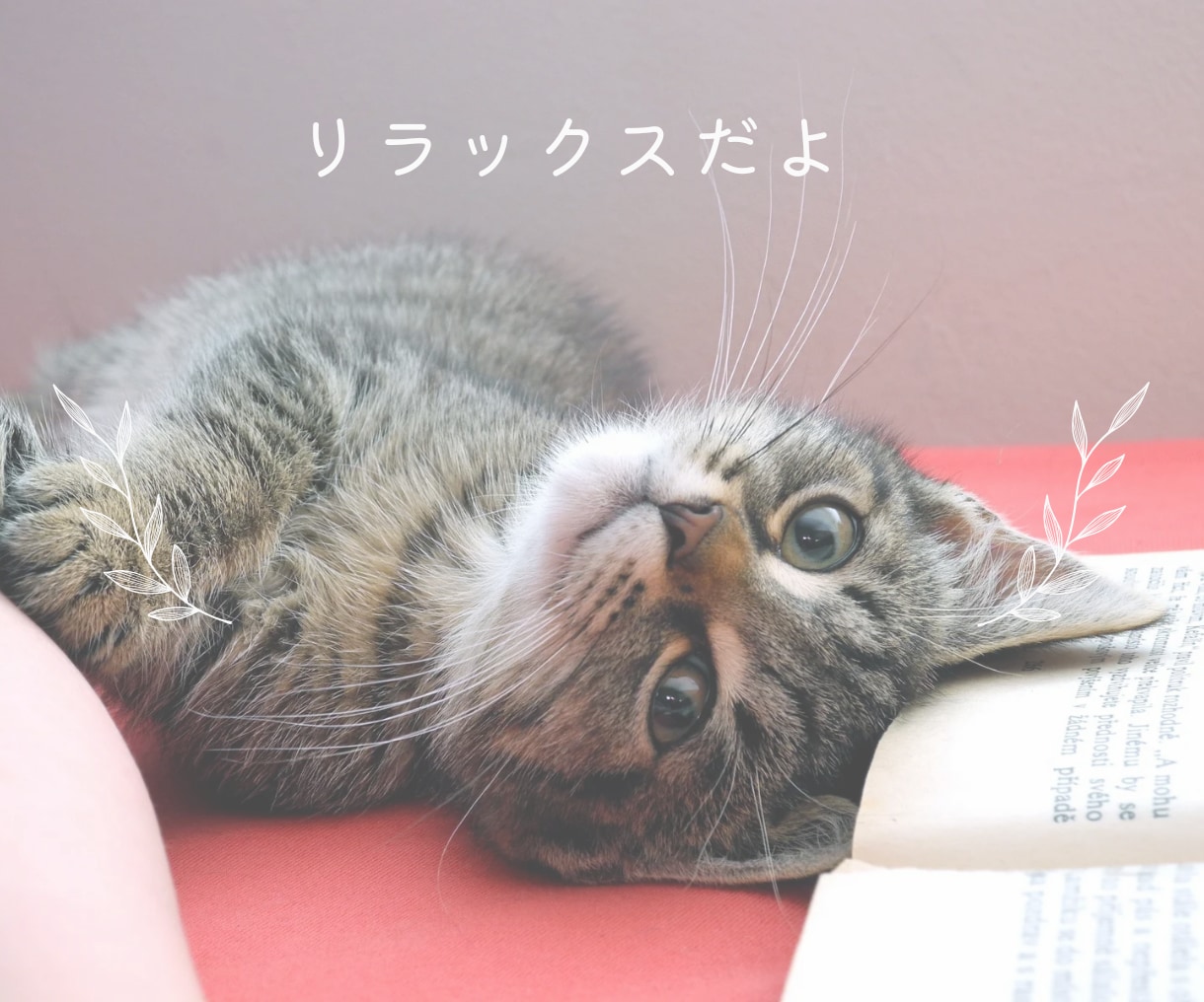 声の笑顔！電話応対が上手くなるコツを伝授します これまでの電話応対5万件！電話応対コンテスト受賞経験アリ イメージ5
