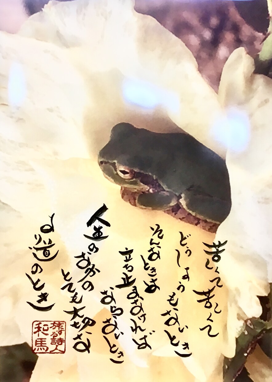 写真に謎の詩人和馬の言葉を直筆で書いてお送りします あなたを元気にする言葉を書きます。 イメージ9