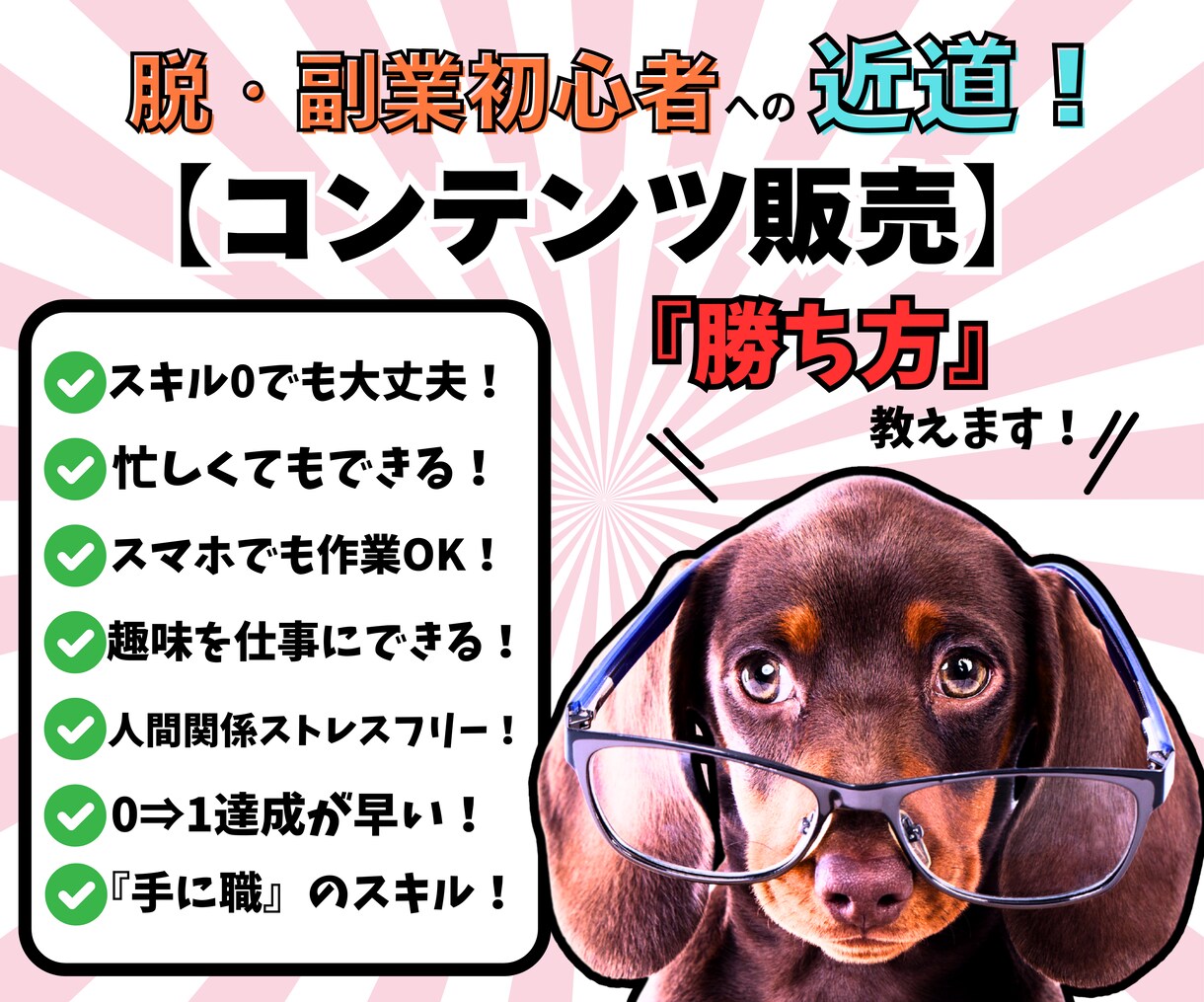 スキル0の初心者でも手堅く稼ぐスキマ副業教えます 初心者やったもん勝ち秘密ノウハウを動画&PDFで徹底解説！ イメージ1