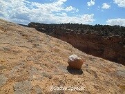 モニュメントバレーで撮影代行いたします ☆現地撮影＆新婚旅行撮影など承ります イメージ5