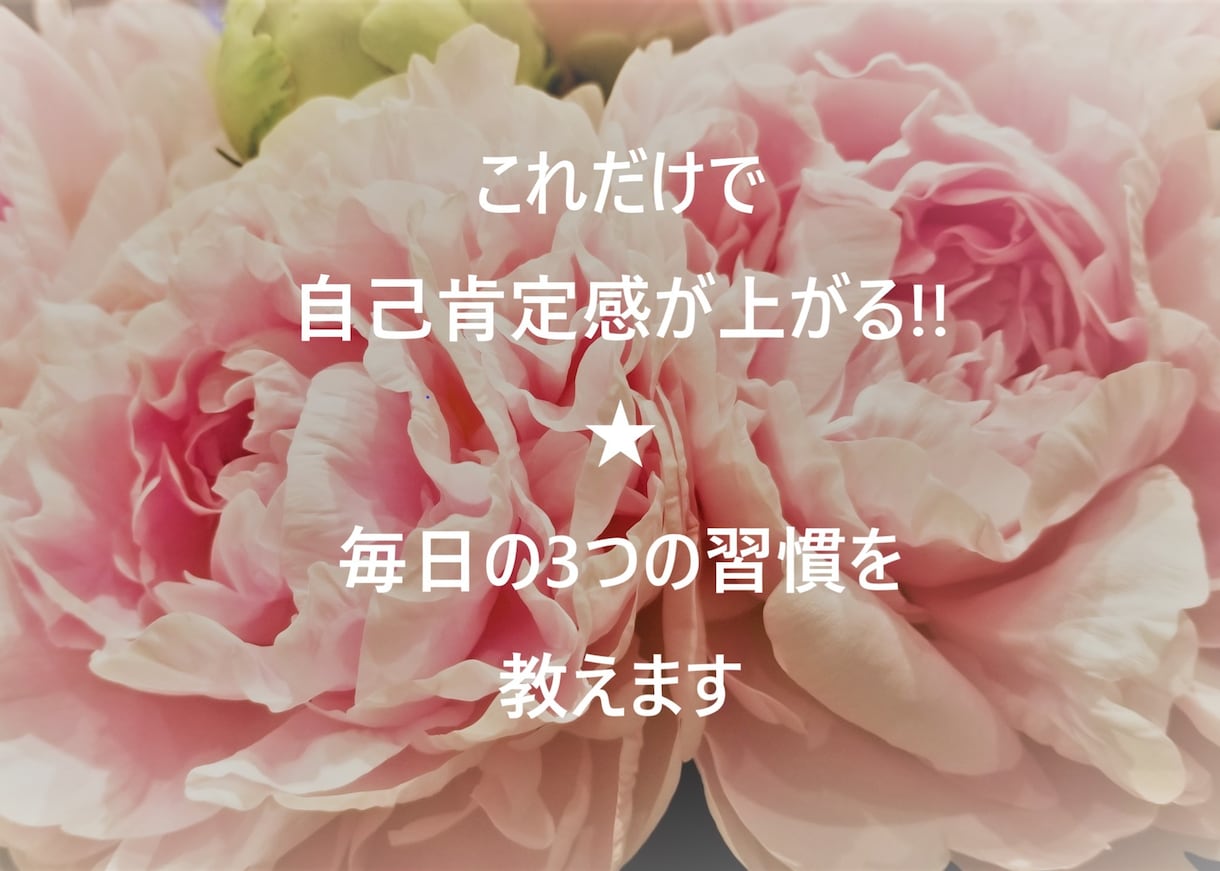 自己肯定感UPのための簡単・毎日の習慣を教えます 無料で、手軽にできる、3つの方法で毎日がキラキラに！ イメージ1