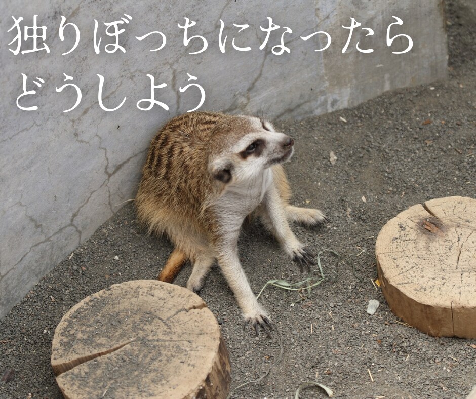 自慢話、なんでも聞きます 羨ましがられたい人、この指とまれ！ イメージ4