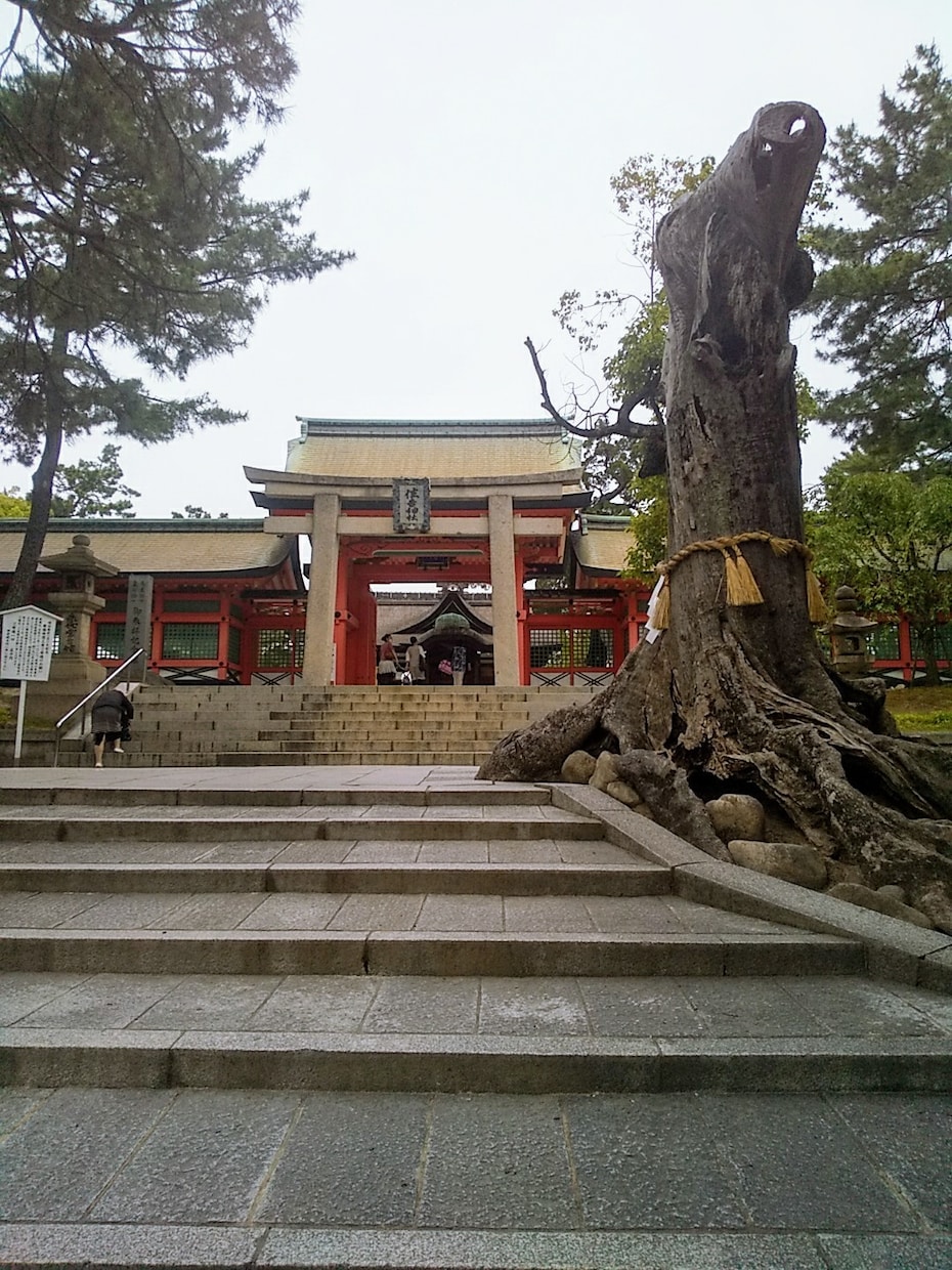 あなたに代わっておみくじ引きます 大阪の住吉大社にておみくじ占い☆&オラクルカード占い付き☆ イメージ5