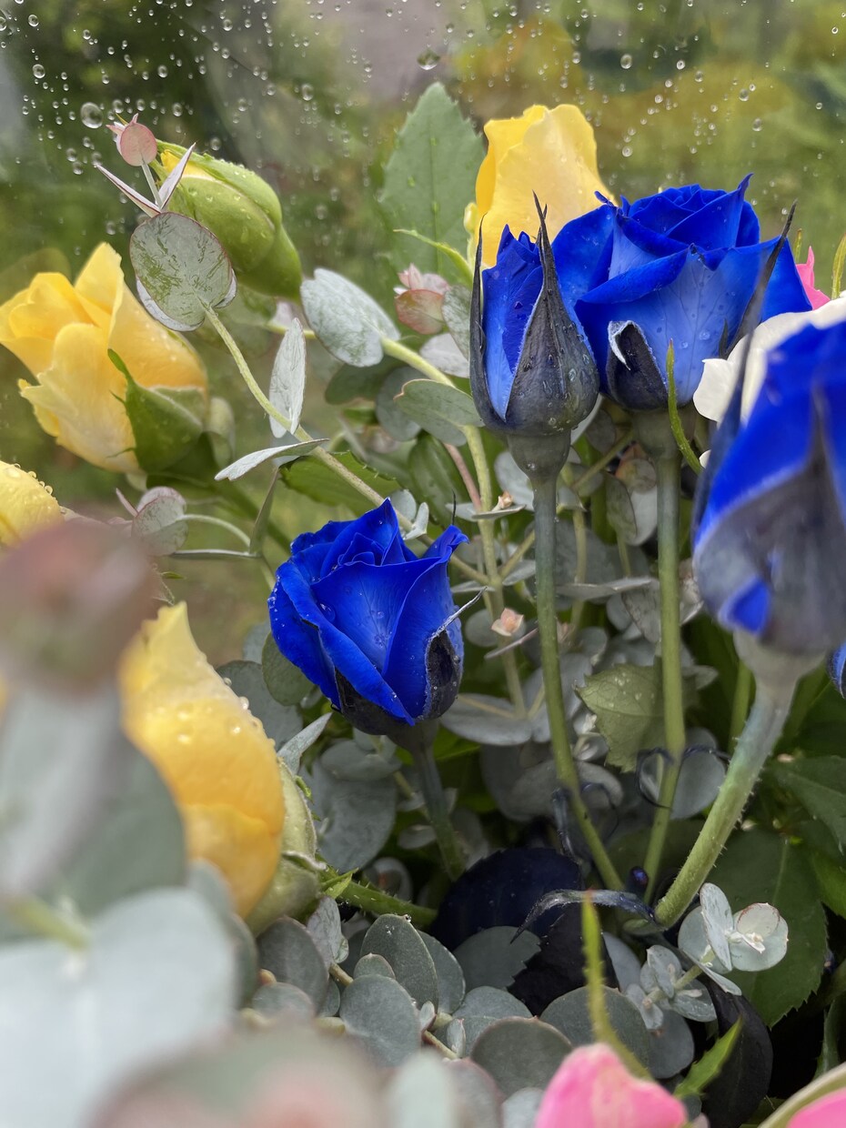 あなたに合った効果・効能のハーブや植物を教えます 身体の不調を軽減させるようなハーブや花などを提案！ イメージ1