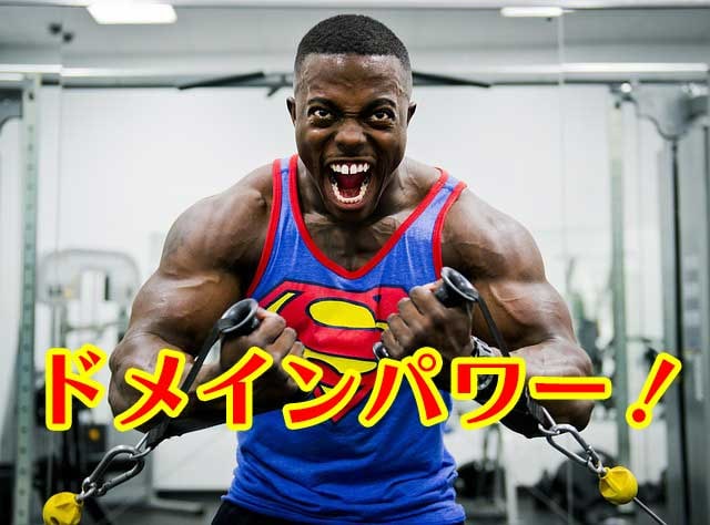アフィリエイトサイトに役立つ自然な被リンク送ります 品質の高い被リンクで安心してアフィリのSEO対策をしたい時に イメージ1