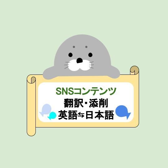 SNSコンテンツ翻訳(英日・日英)いたします High Quality Translation イメージ1